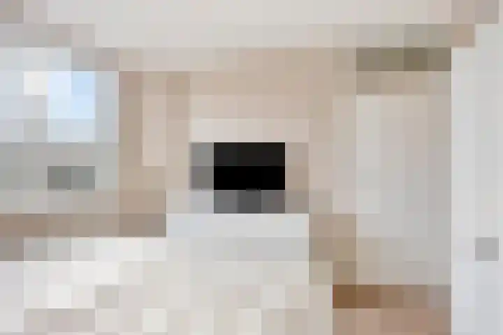 Persijnlaan 3 Purmerend thumbnail 21