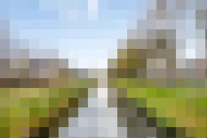 Persijnlaan 3 Purmerend thumbnail 29