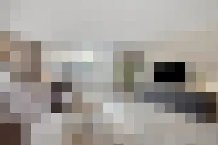 Persijnlaan 3 Purmerend thumbnail 7