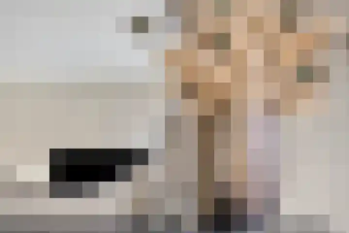 Persijnlaan 3 Purmerend thumbnail 9