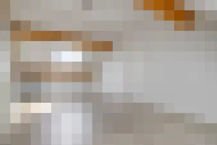 Persijnlaan 35 Purmerend thumbnail 22