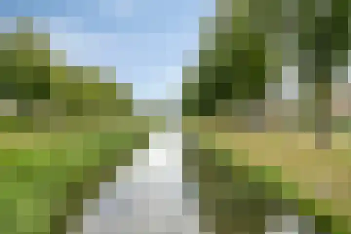Persijnlaan 35 Purmerend thumbnail 29