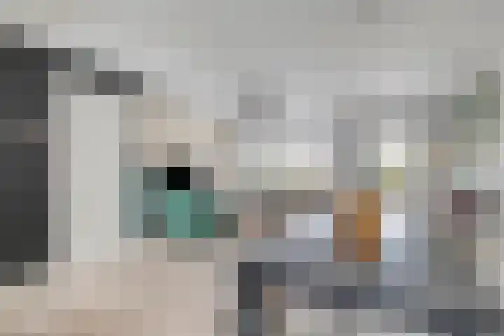 Persijnlaan 35 Purmerend thumbnail 9