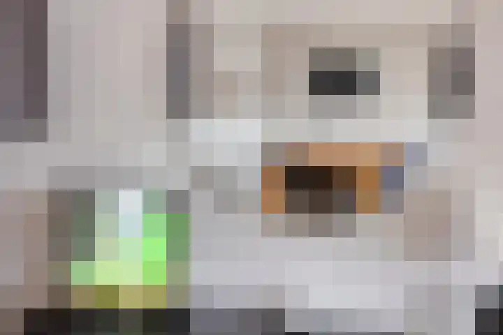Persijnlaan 36 Purmerend thumbnail 14