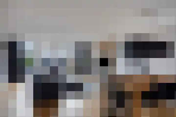 Persijnlaan 36 Purmerend thumbnail 16