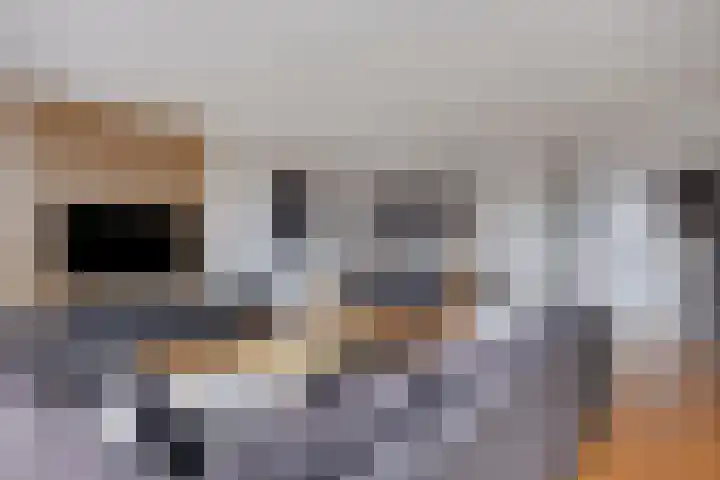 Persijnlaan 36 Purmerend thumbnail 4
