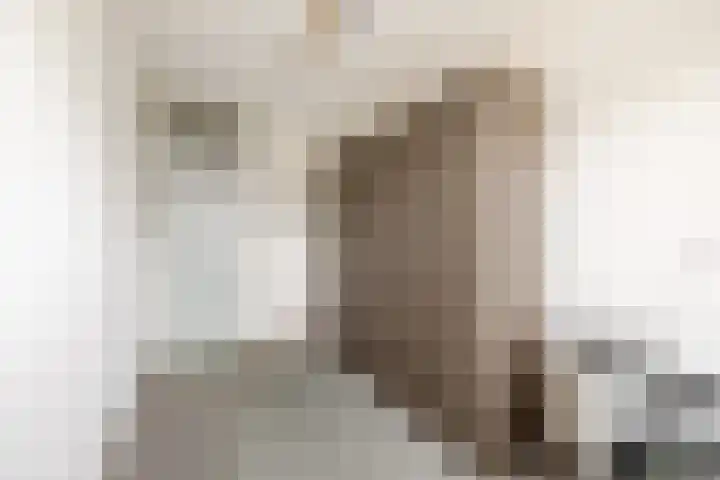 Persijnlaan 42 Purmerend thumbnail 27