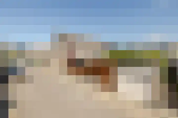 Persijnlaan 42 Purmerend thumbnail 38