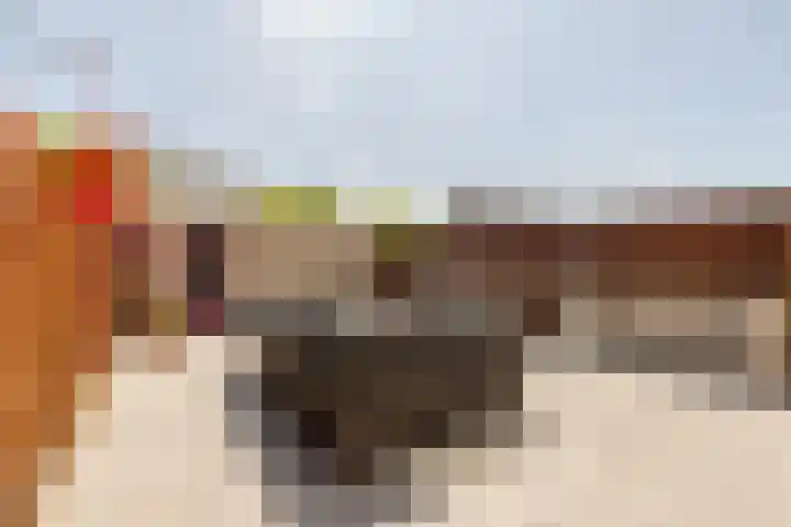 Persijnlaan 42 Purmerend thumbnail 4