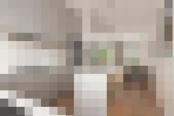 Persijnlaan 43 Purmerend thumbnail 13
