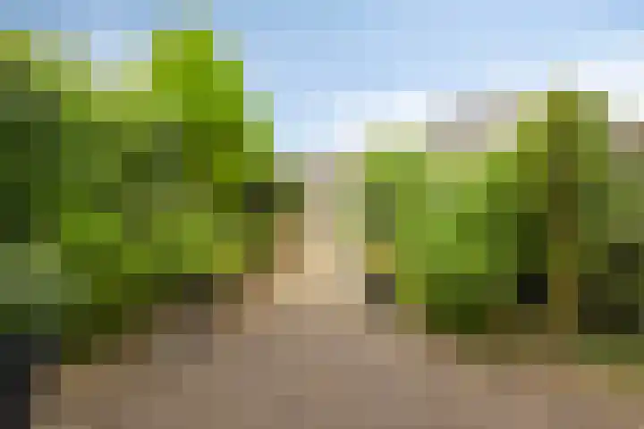 Persijnlaan 43 Purmerend thumbnail 28