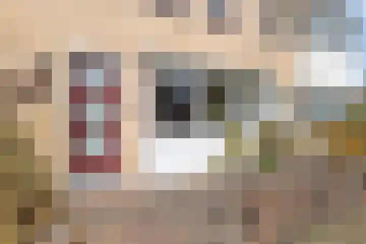 Persijnlaan 43 Purmerend thumbnail 4
