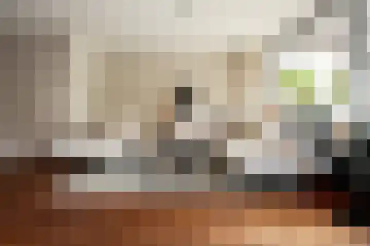 Persijnlaan 50 Purmerend thumbnail 10