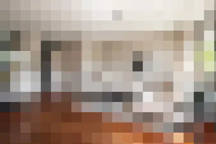 Persijnlaan 50 Purmerend thumbnail 12