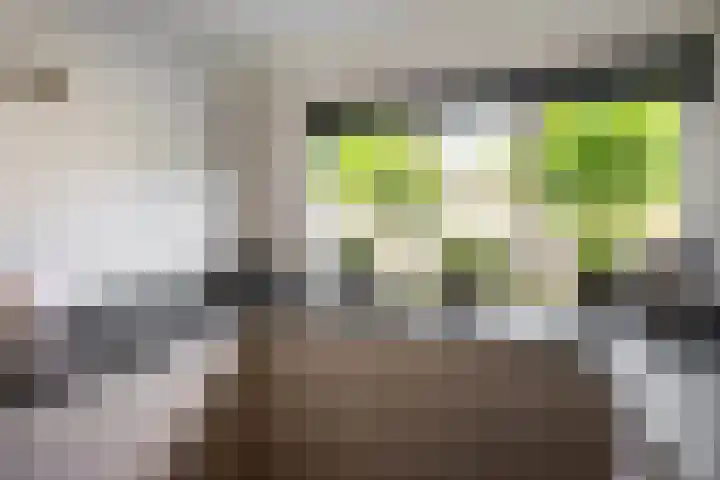 Persijnlaan 50 Purmerend thumbnail 19
