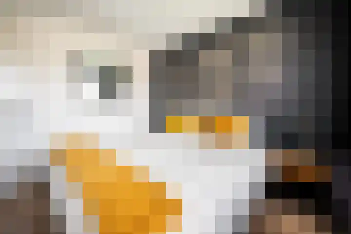 Persijnlaan 50 Purmerend thumbnail 22