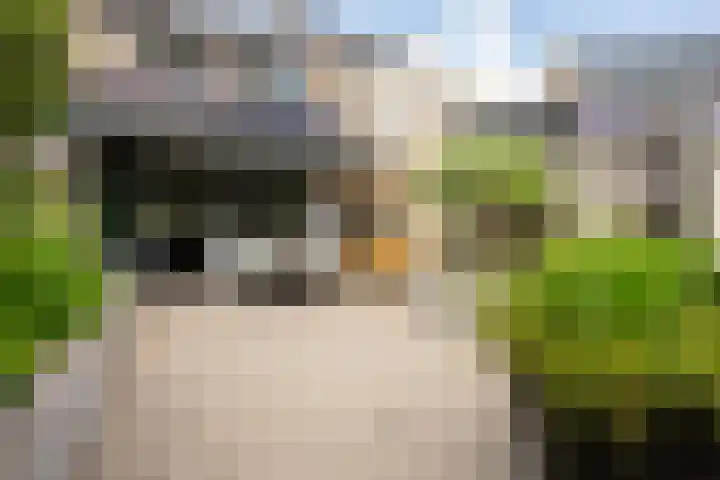 Persijnlaan 50 Purmerend thumbnail 38