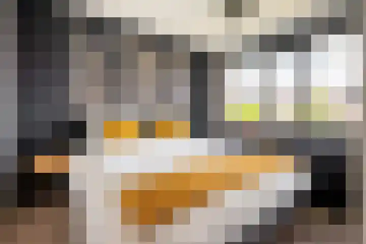 Persijnlaan 50 Purmerend thumbnail 4