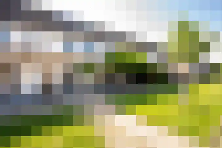 Persijnlaan 50 Purmerend thumbnail 40