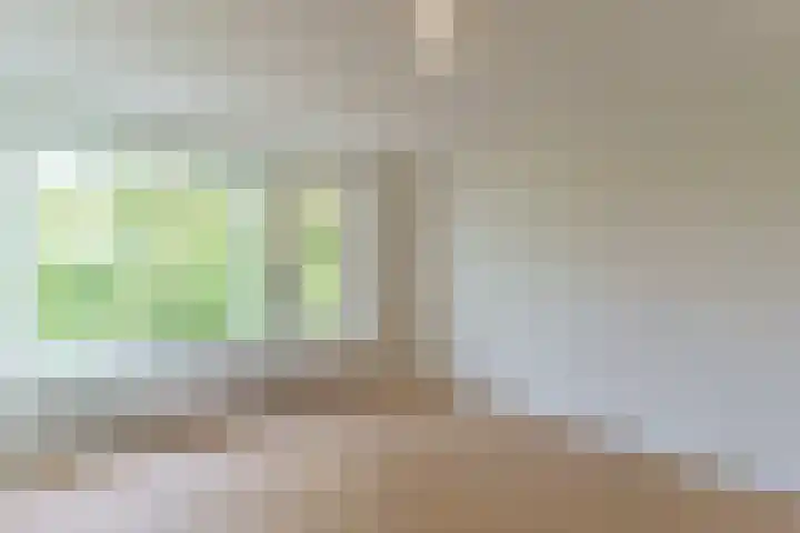 Persijnlaan 51 Delft thumbnail 8