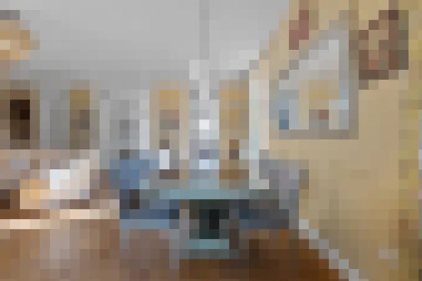 Persijnlaan 6 Wassenaar thumbnail 12