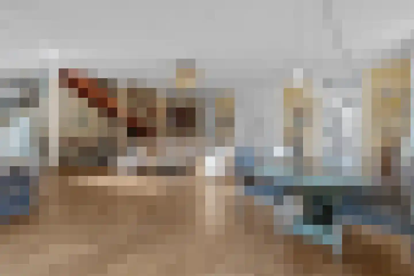 Persijnlaan 6 Wassenaar thumbnail 13