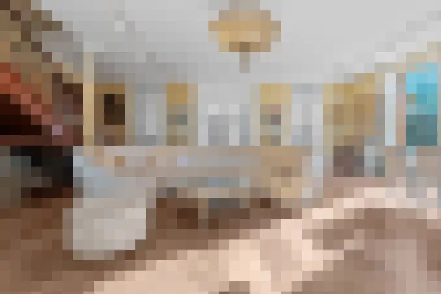 Persijnlaan 6 Wassenaar thumbnail 14