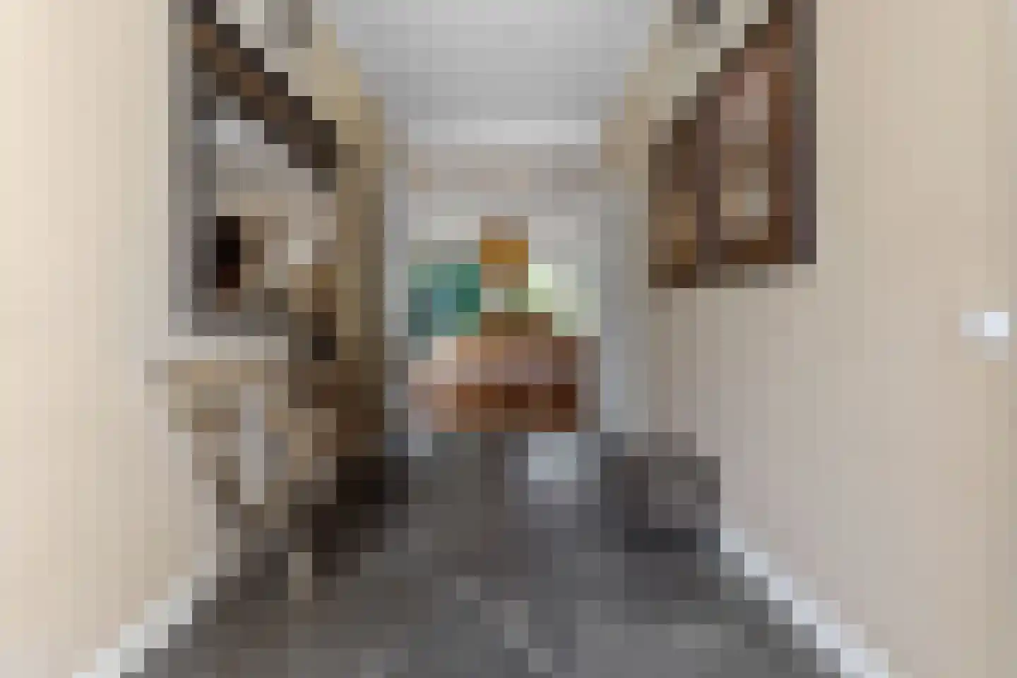 Persijnlaan 6 Wassenaar thumbnail 17