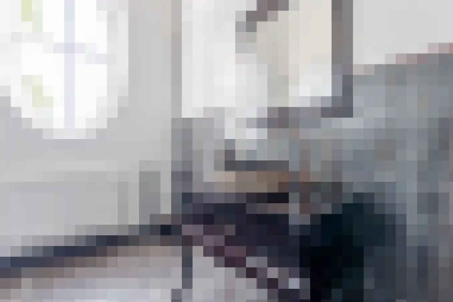 Persijnlaan 6 Wassenaar thumbnail 32