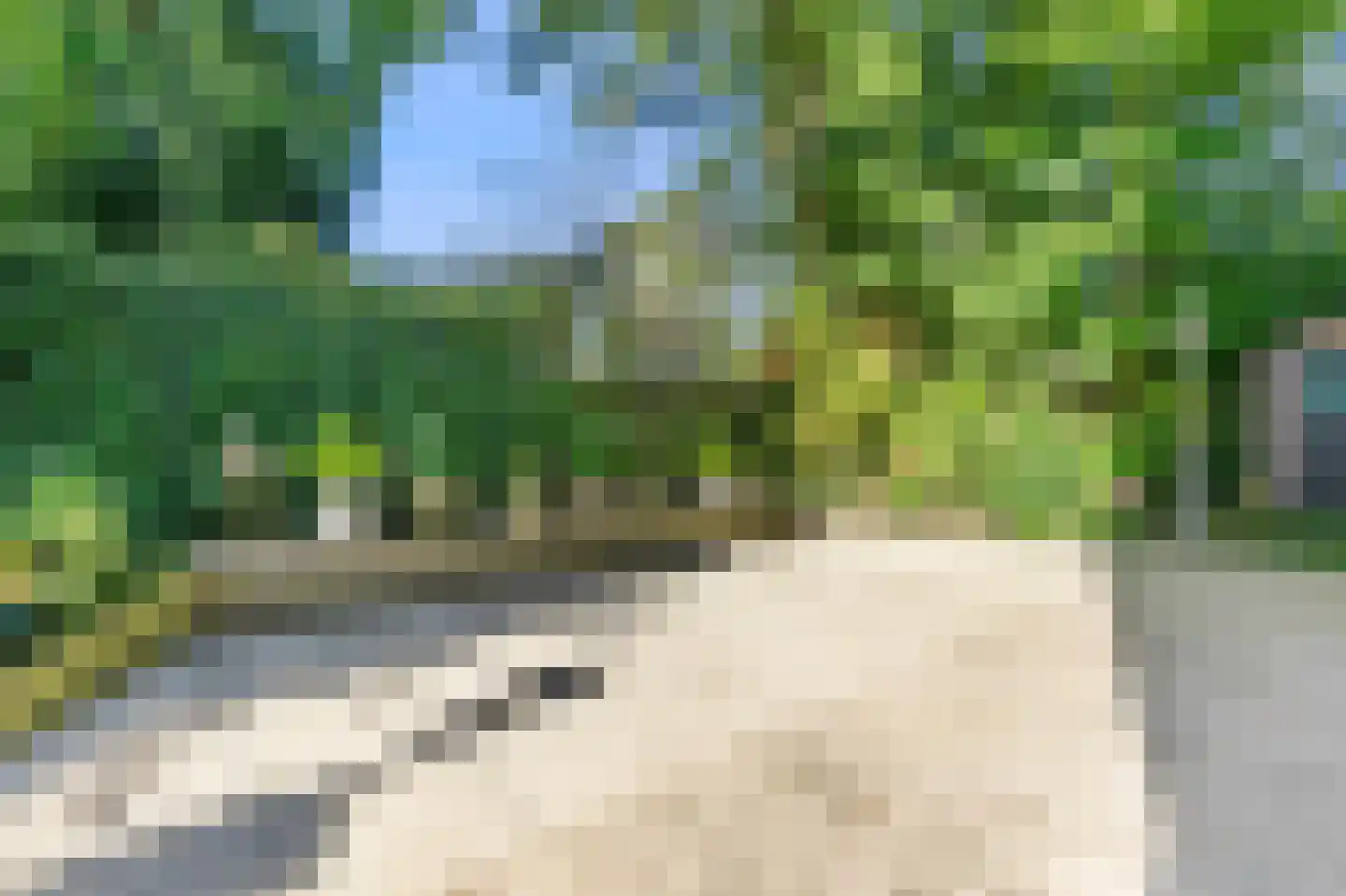Persijnlaan 6 Wassenaar thumbnail 50