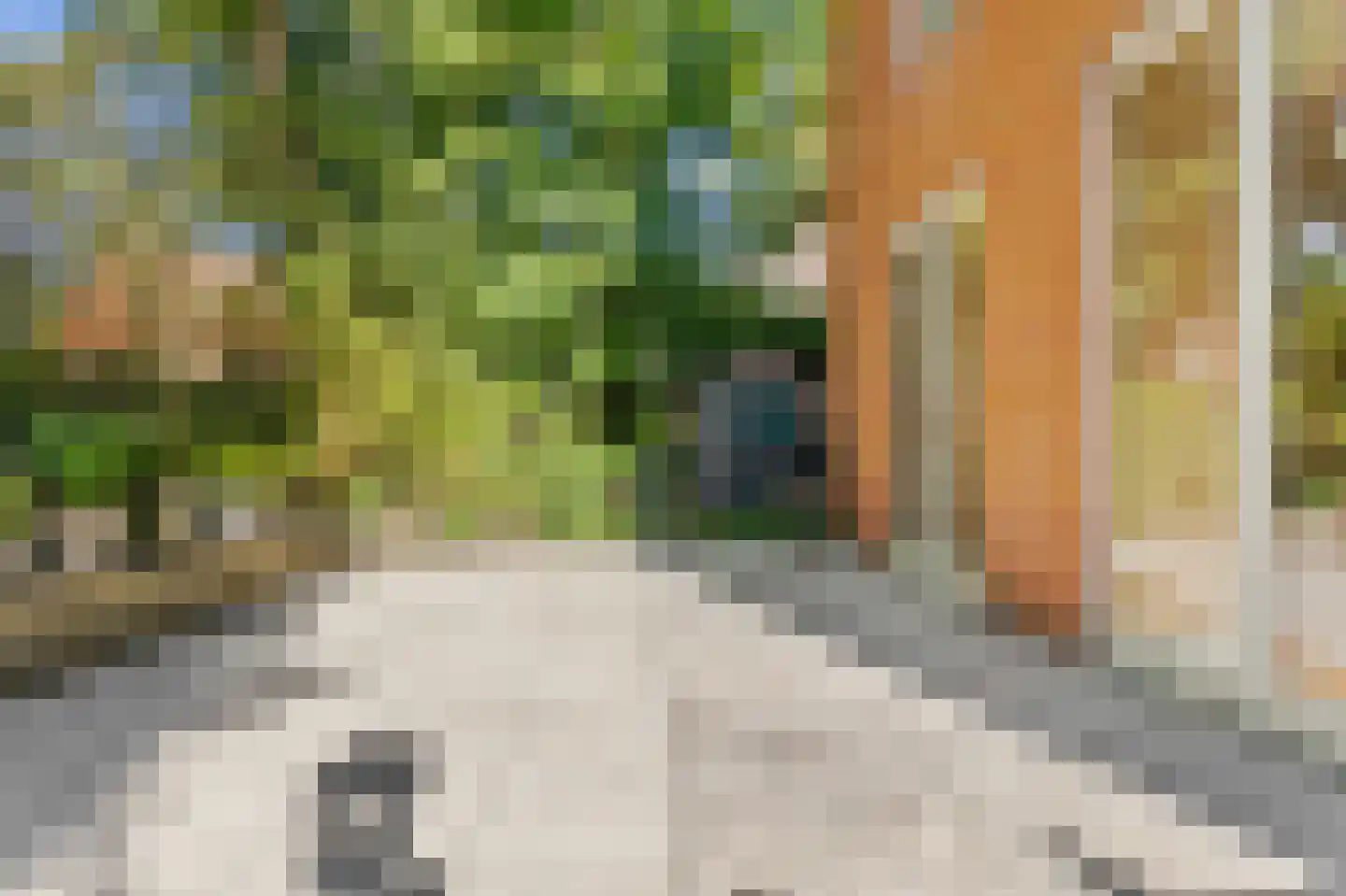 Persijnlaan 6 Wassenaar thumbnail 51