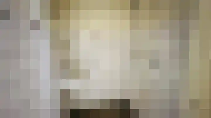 Persijnlaan 66 Delft thumbnail 13