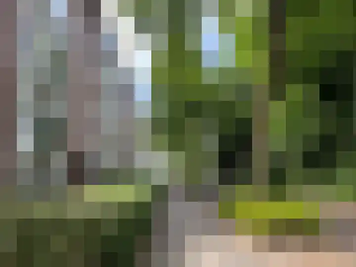 Persijnlaan 66 Delft thumbnail 18