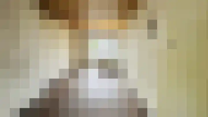 Persijnlaan 66 Delft foto 3