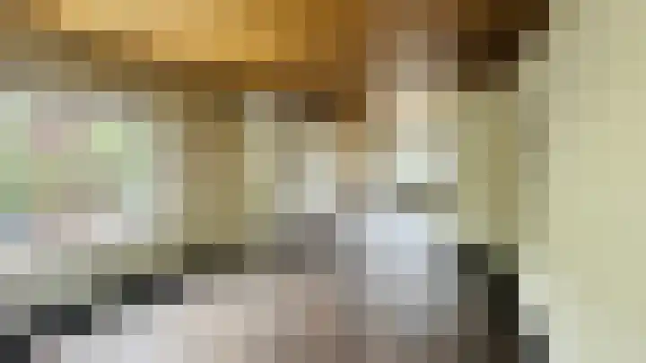 Persijnlaan 66 Delft thumbnail 6