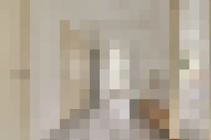 Persijnlaan 74 Delft thumbnail 10