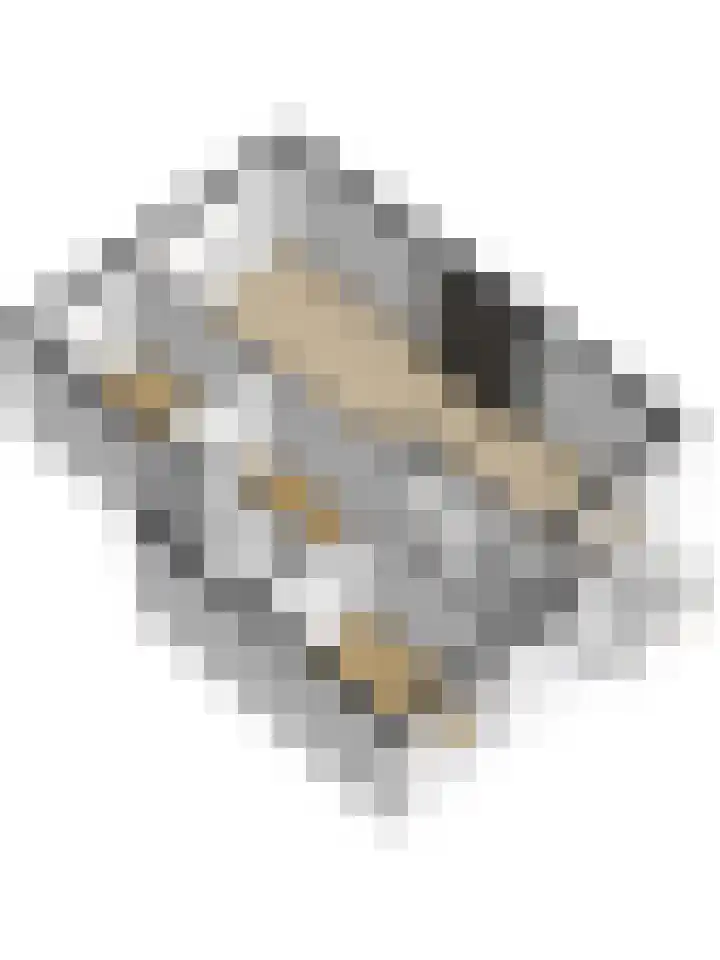 Persijnlaan 74 Delft thumbnail 30