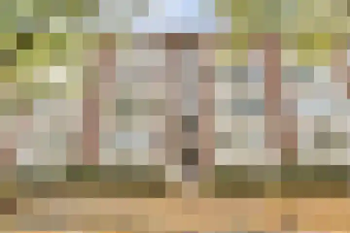 Persijnlaan 74 Delft thumbnail 6