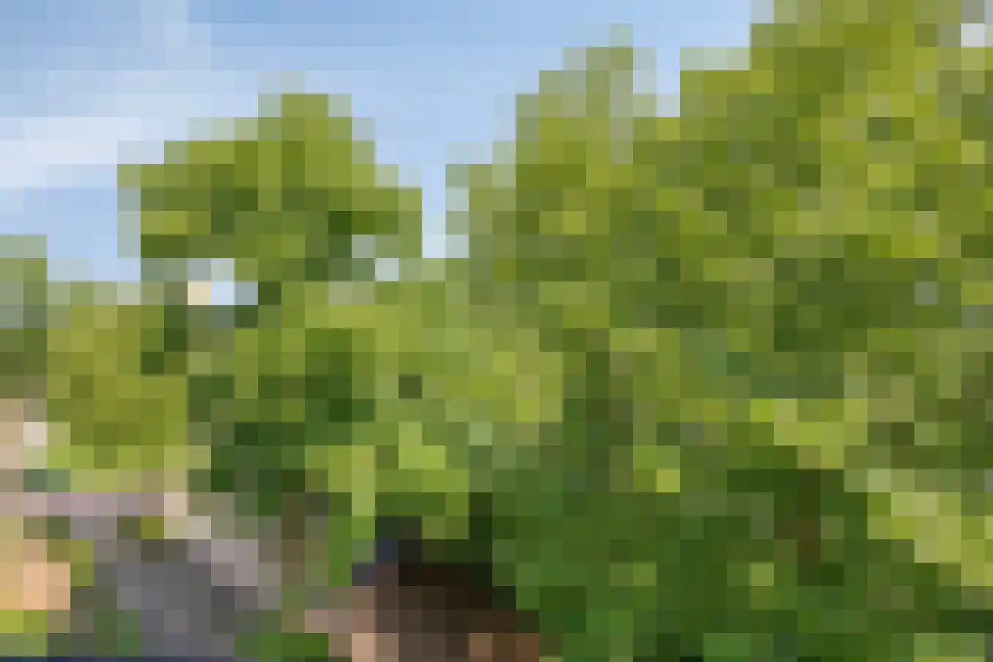Persijnlaan 76 Delft thumbnail 30