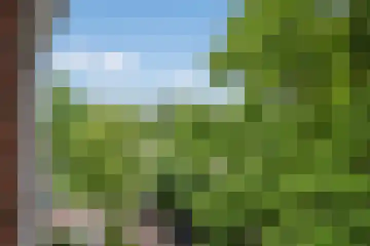 Persijnlaan 80 Delft thumbnail 18