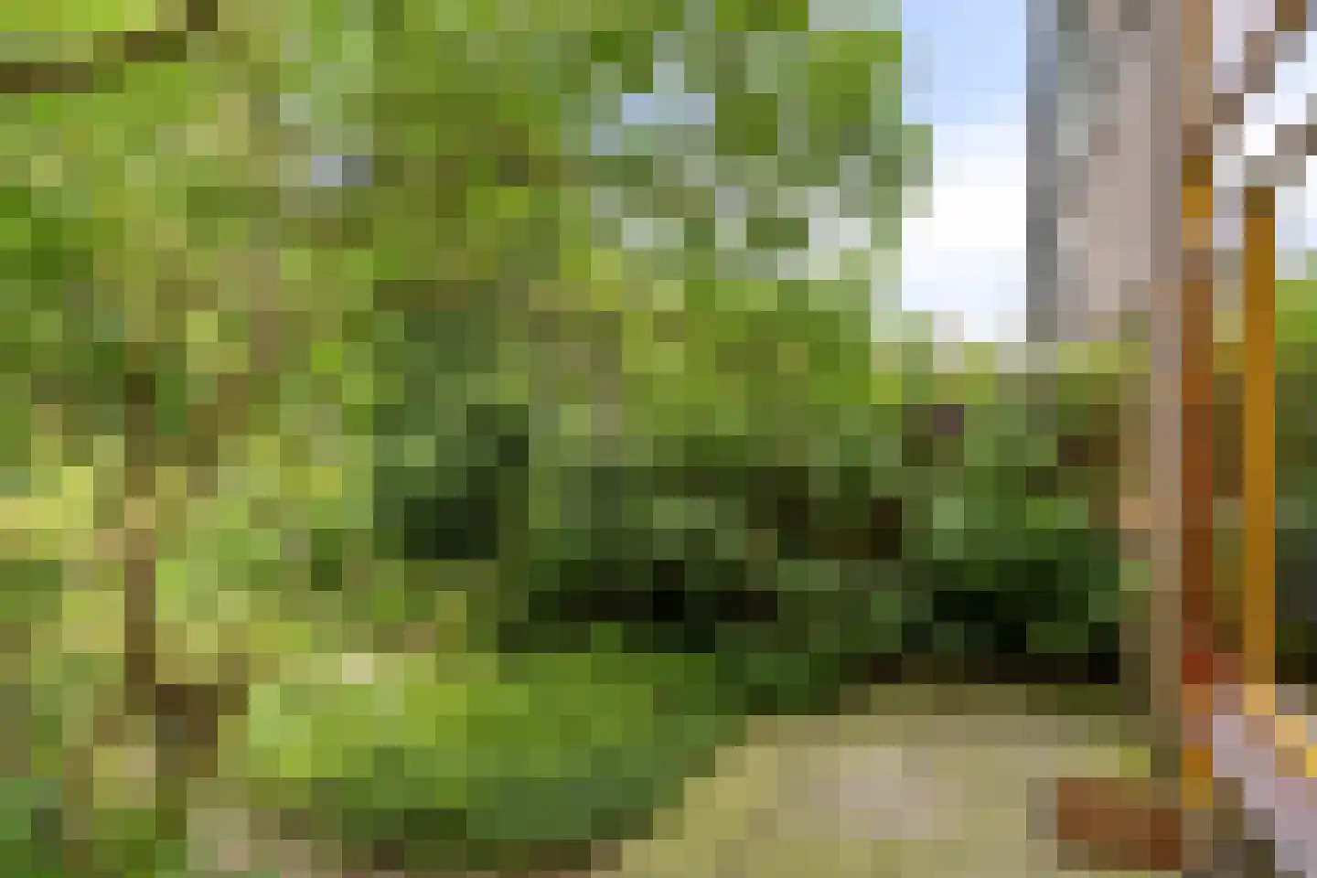 Persijnstraat 13 Edam thumbnail 11