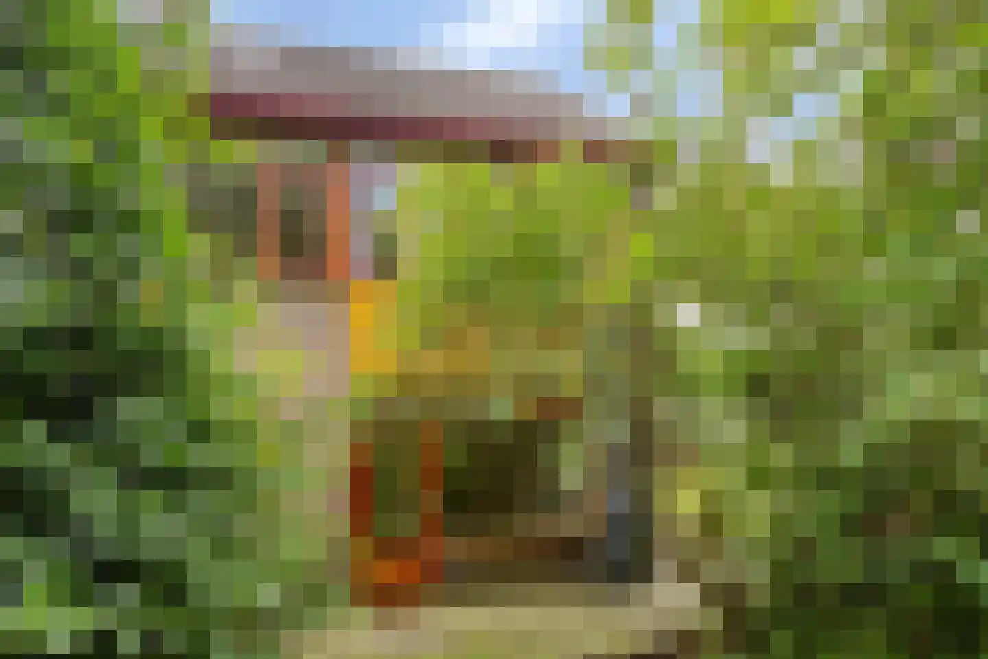 Persijnstraat 13 Edam thumbnail 35