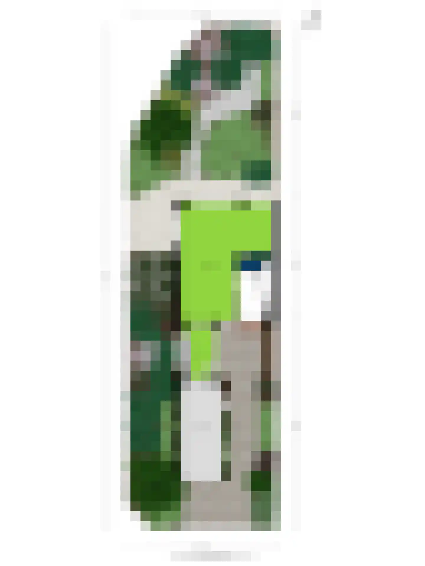 Persijnstraat 13 Edam thumbnail 38