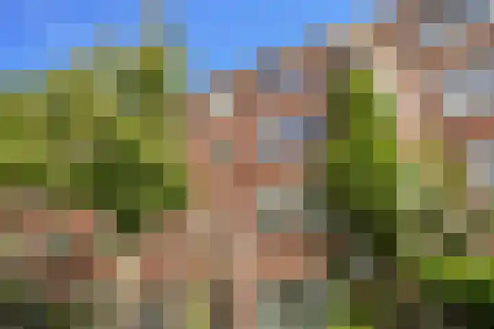 Persijnstraat 5 A Rotterdam thumbnail 34