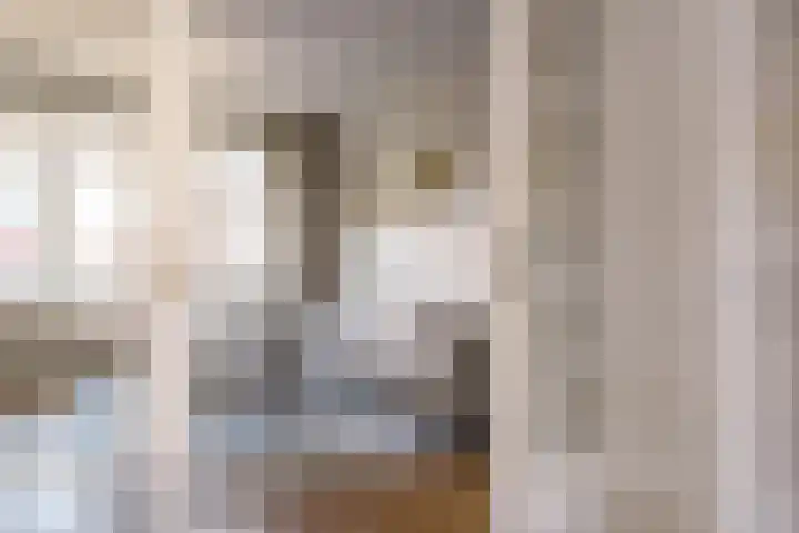 Persijnstraat 5 A Rotterdam thumbnail 6