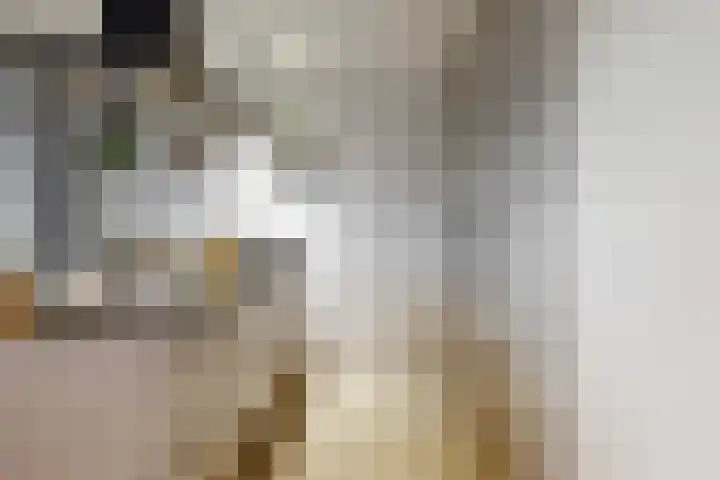 Persimoenstraat 21 Utrecht thumbnail 11
