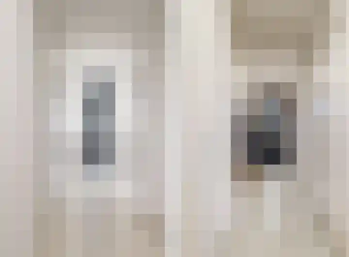 Persimoenstraat 21 Utrecht thumbnail 12