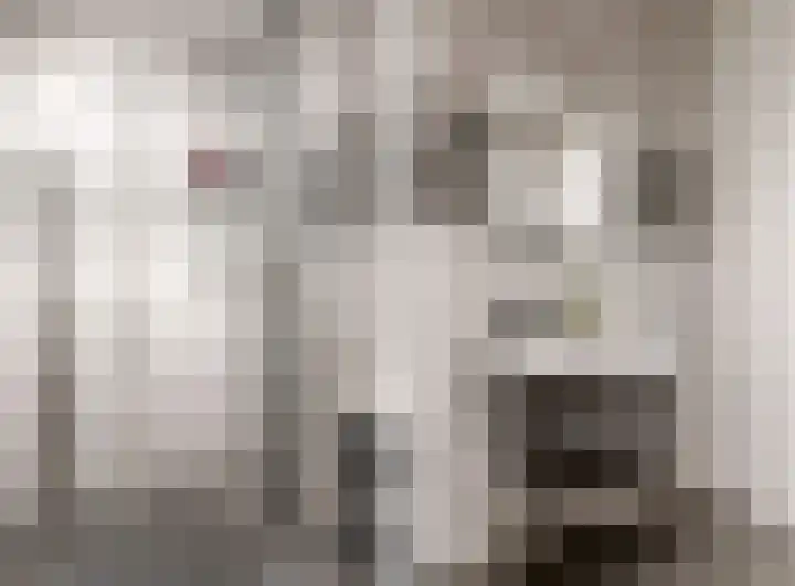 Persimoenstraat 21 Utrecht thumbnail 20