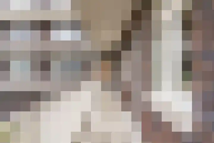Persimoenstraat 21 Utrecht thumbnail 27