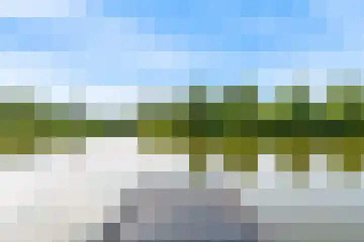 Persimoenstraat 21 Utrecht thumbnail 34